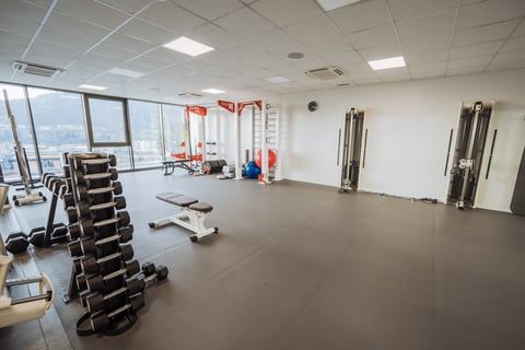 Mendrisio-palestra 3